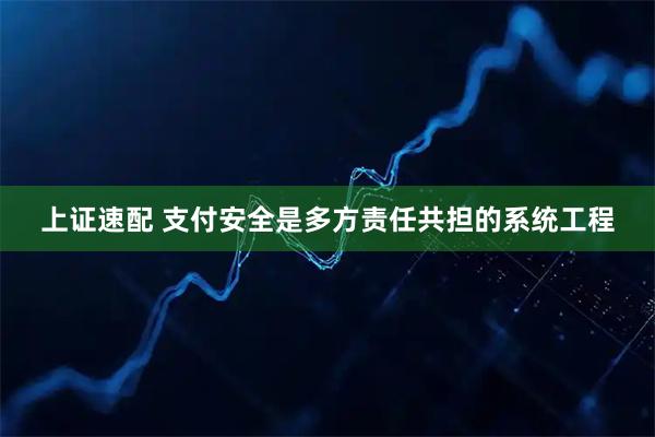上证速配 支付安全是多方责任共担的系统工程
